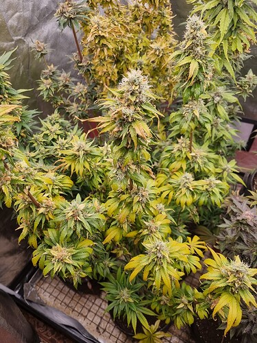 Growreport Bild 10