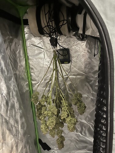 Growreport Bild 48