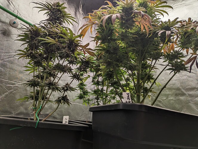 Growreport Bild 10