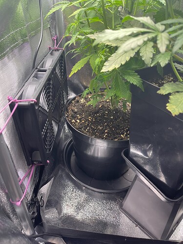Growreport Bild 3