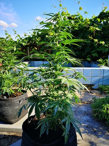 Growreport Bild 22