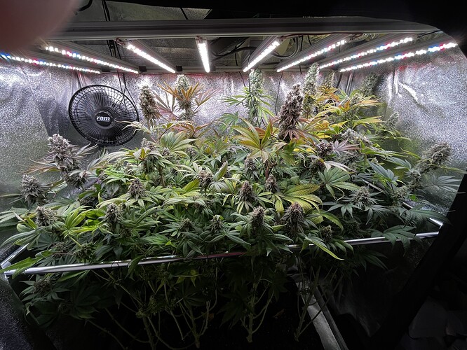 Growreport Bild 5