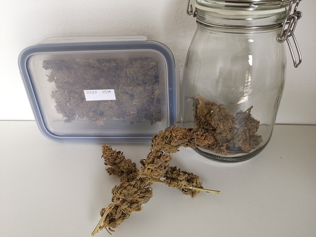 Growreport Bild 9