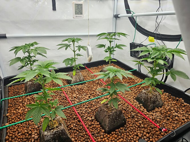 Growreport Bild 14