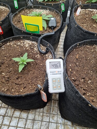 Growreport Bild 17