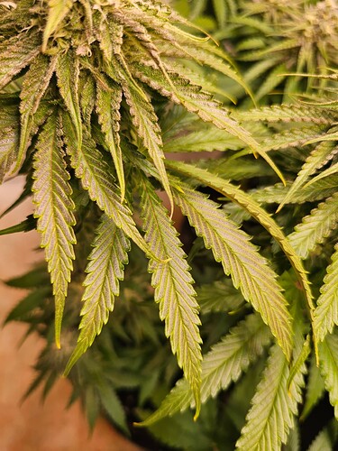 Growreport Bild 8