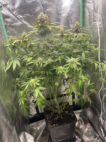 Growreport Bild 10