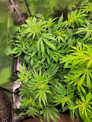 Growreport Bild 15