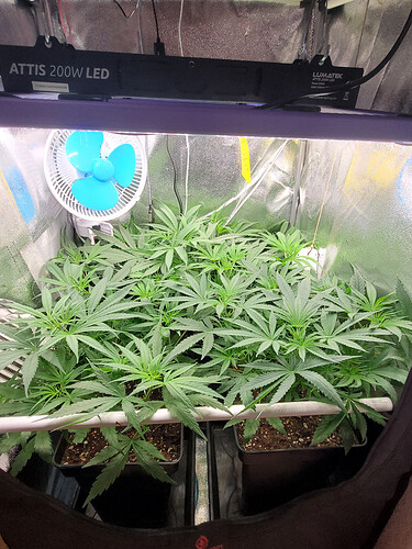 Growreport Bild 6