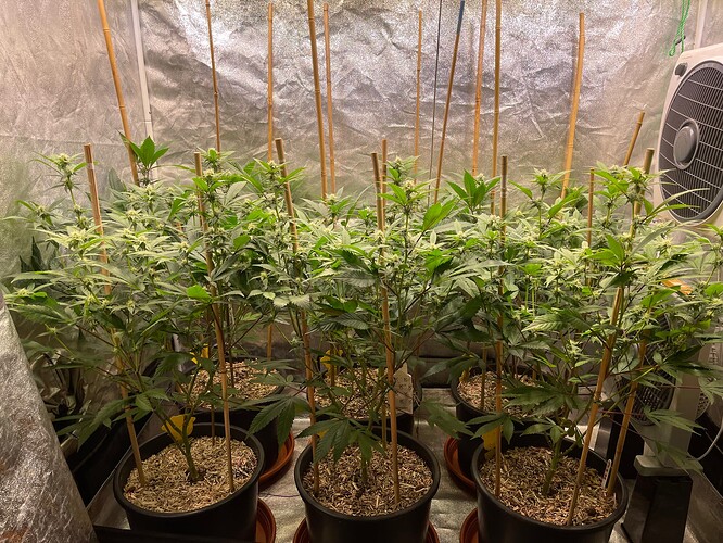 Growreport Bild 10