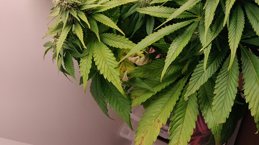 Growreport Bild 11