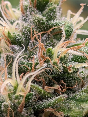 PXL_20230714_102520236