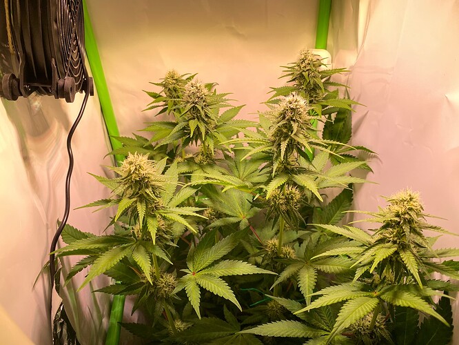 Growreport Bild 6