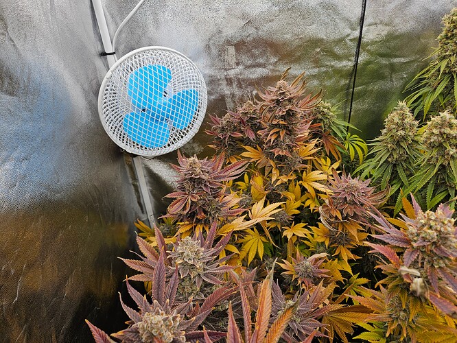Growreport Bild 32