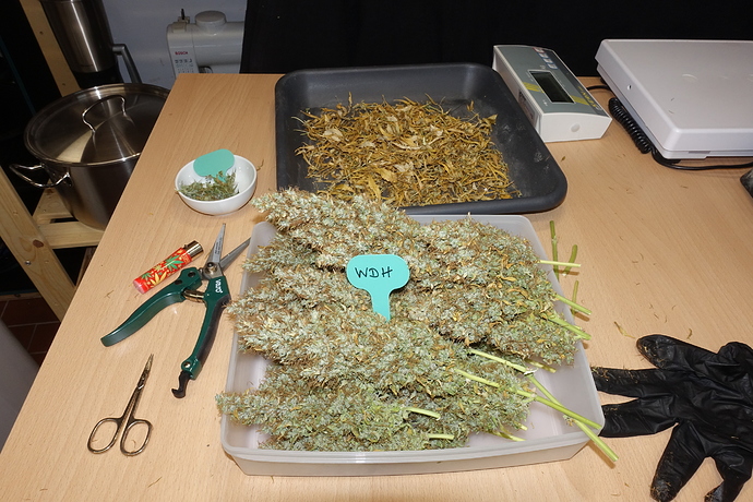 Growreport Bild 2