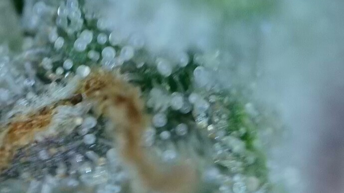 2022-06-25-032209688