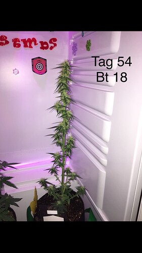 Growreport Bild 7