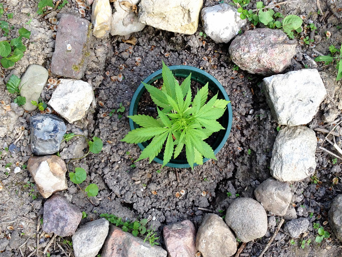 Growreport Bild 15