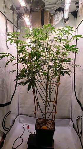 Growreport Bild 12