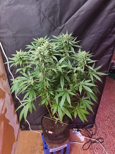 Growreport Bild 14
