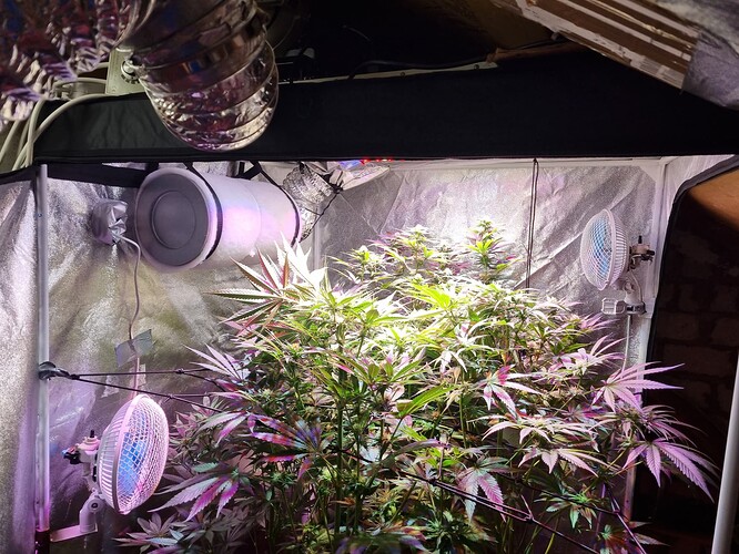 Growreport Bild 40