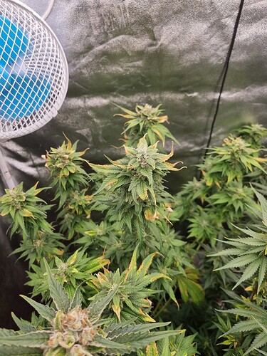 Growreport Bild 10