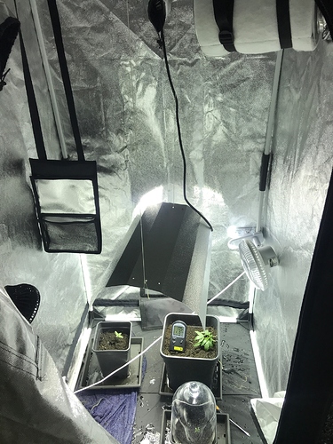 Growreport Bild 5