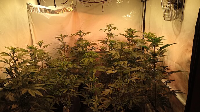 Growreport Bild 9