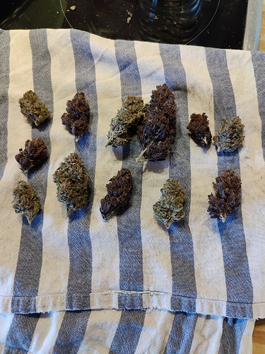Growreport Bild 28
