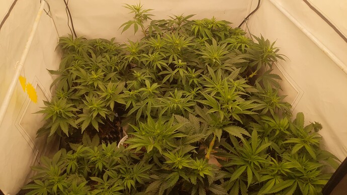 2-IMG_20231215_231106_464