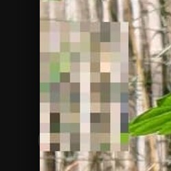 Screenshot_2022-07-29-15-24-06-29_984e1414ae90666a90f12ff17ec14a7f