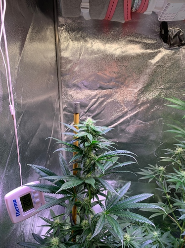 Growreport Bild 4
