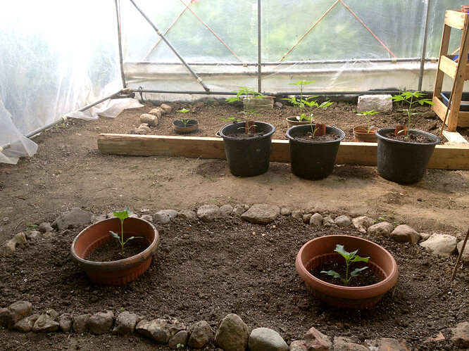 Growreport Bild 6