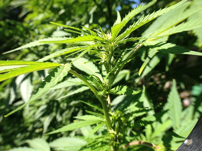 Growreport Bild 16