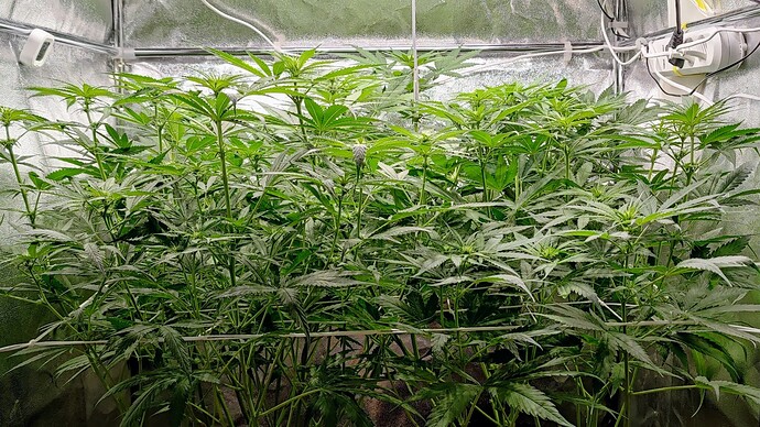 Growreport Bild 21