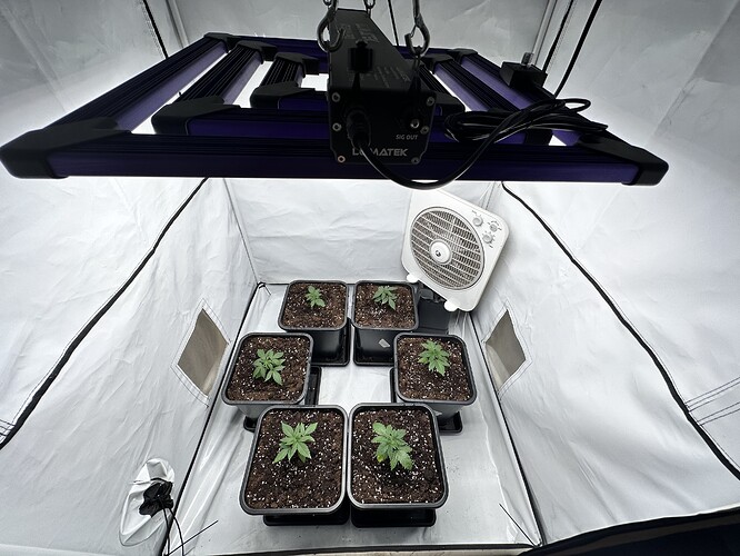 Growreport Bild 3