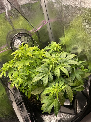 Growreport Bild 6