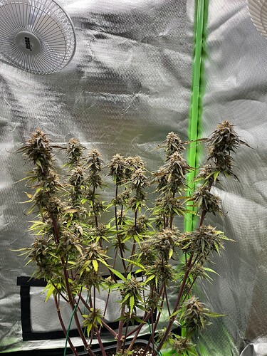 Growreport Bild 8