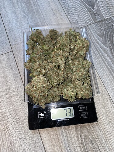 Growreport Bild 2
