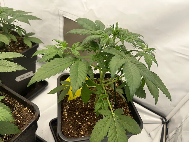 Growreport Bild 12