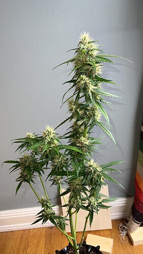 signal-2022-10-24-210036_003