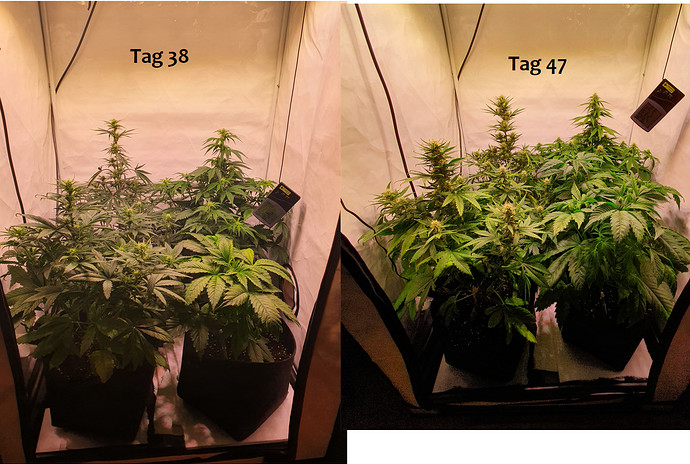 Growreport Bild 1