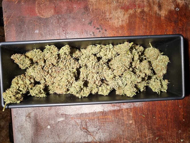 Growreport Bild 1