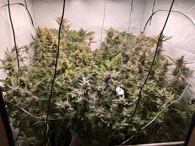 Growreport Bild 10
