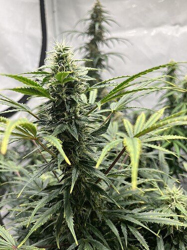 Growreport Bild 12