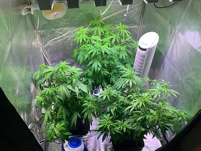 Growreport Bild 4