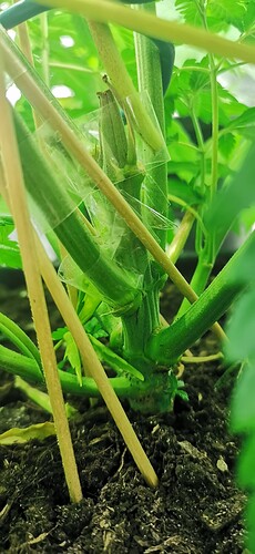 Growreport Bild 14