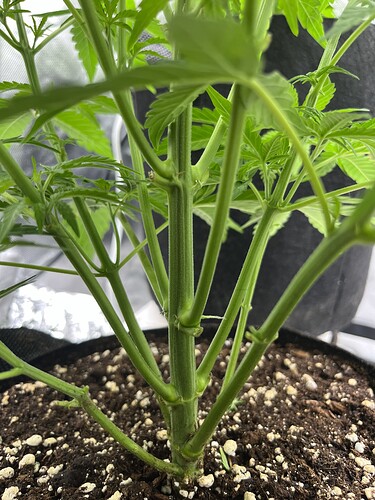 Growreport Bild 15