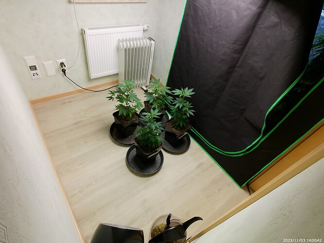 Growreport Bild 3