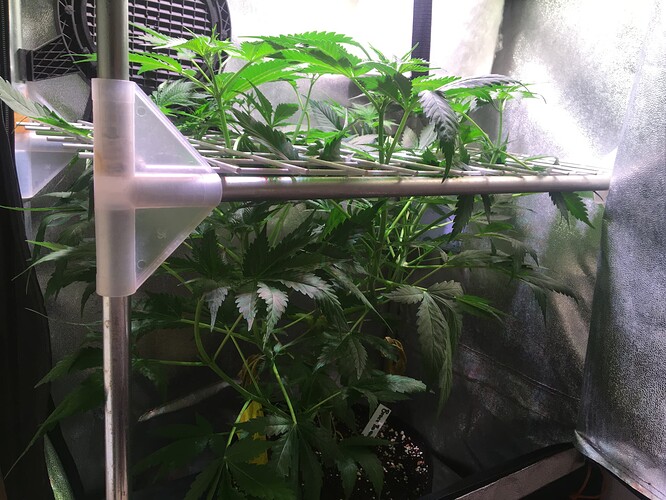 Growreport Bild 10